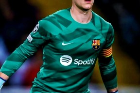 M6体育下载-沃尔夫斯堡门将接受手术缺席数周的简单介绍