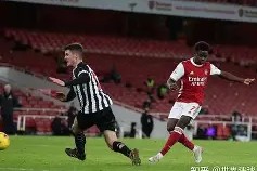 M6体育下载-富勒姆主场战平纽卡斯尔，争夺保级越加激烈的简单介绍